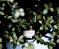 Choose Your Tallow Trio | 120ml