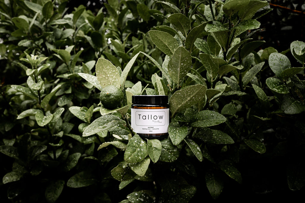 Zest Blend Beef Tallow